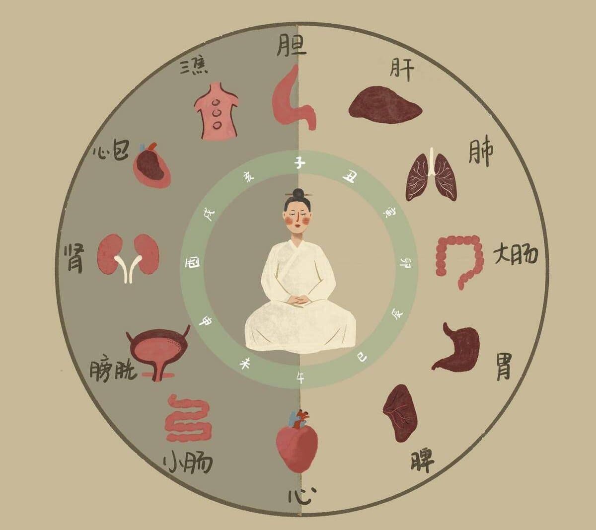The Yin-Yang and Five Elements diagram corresponding to the organs of Chinese medicine